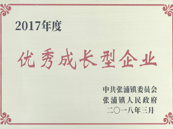 SY-250-2D全自動(dòng)焊帶壓延機(jī)